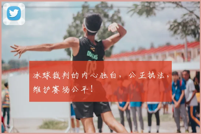 冰球裁判的内心独白，公正执法，维护赛场公平！